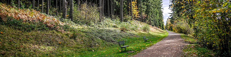 benches along the Green to Cedar Rivers Trail